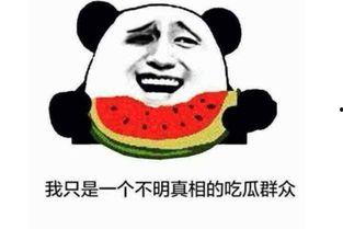 网语吃瓜是什么意思,吃瓜群众的趣味解读