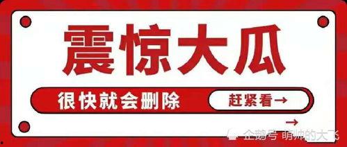 八卦娱乐圈吃瓜账号,揭秘明星幕后故事，带你领略娱乐圈风云变幻