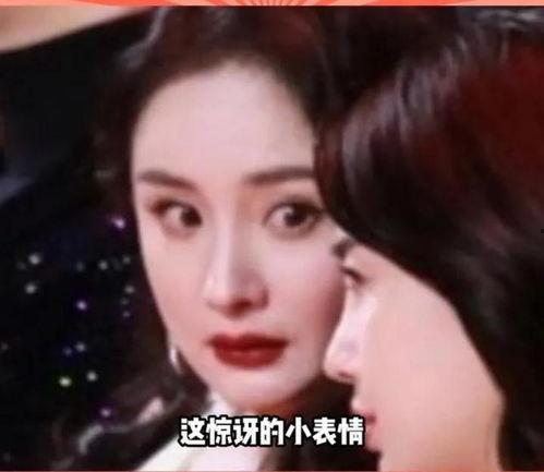 娱乐圈的瓜吃撑了